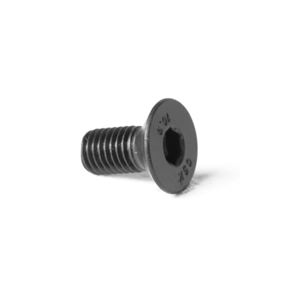 BL107  vite TCE BL107  vite TCE 10,9 durezza, 12x25mm